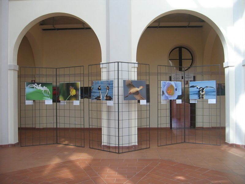 Ecomuseo Valli Oglio Chiese